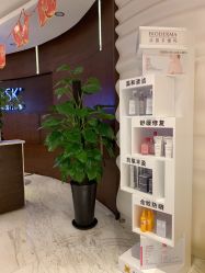 -洁铭新加坡医美