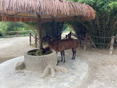 -宁波野生动物园
