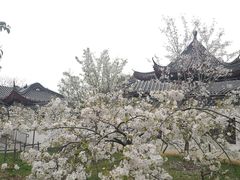 -堤角公园