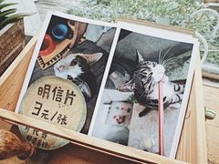 -海边的猫和咖啡馆