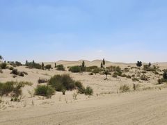 -亿利库布其七星湖沙漠生态旅游区