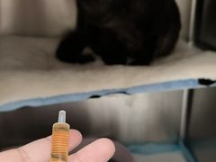 -宠颐生宠物医院·异宠猫科内科·诊疗中心宠巢店