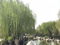 -西安青龙寺遗址景区