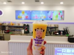 -一只酸奶牛(兰州中心店)