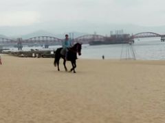 -玫瑰海岸文化旅游度假区