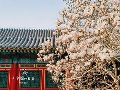 -颐和园