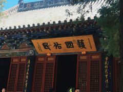 -洛阳白马寺