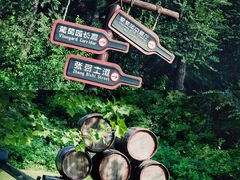 -北京张裕爱斐堡酒庄