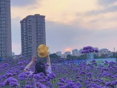 -杭州城北体育公园