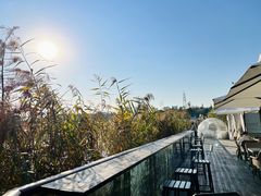 -昆山城市生态森林公园