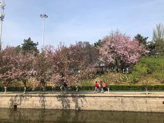 -海棠花溪(元大都城垣遗址公园)