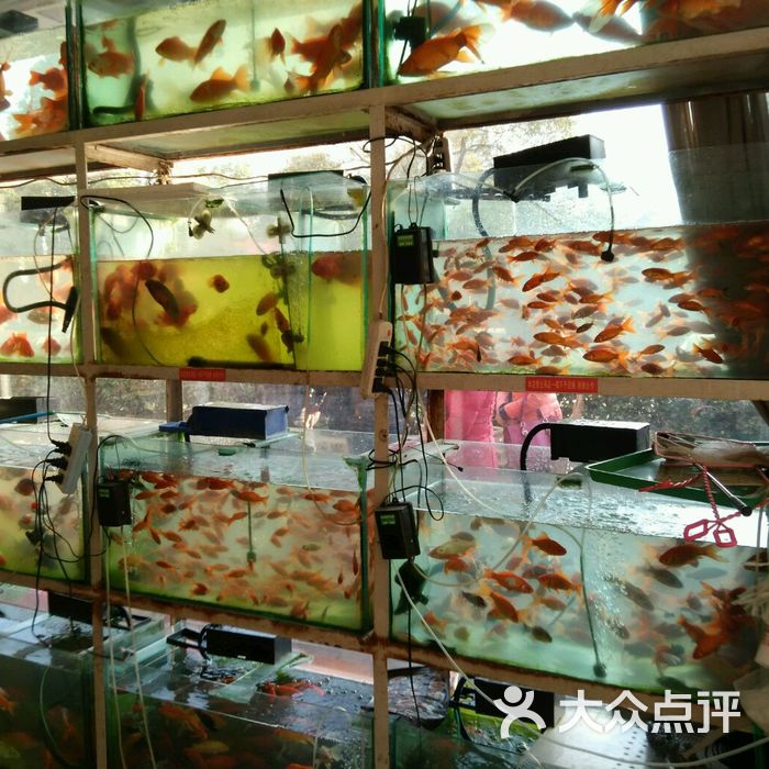 南湖水族馆图片-北京宠物店-大众点评网