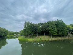 -尚贤河湿地