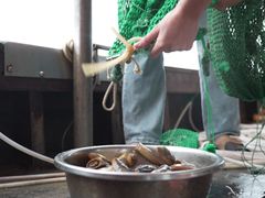 -徐记海鲜(曲江南湖店)