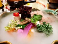 -叶叶菩提(太原别墅店)