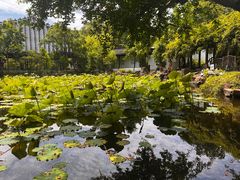 -上海醉白池公园