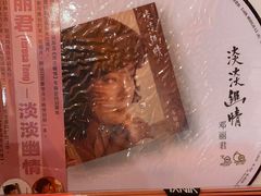 -独音唱片 Indie Music