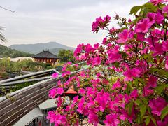 -杭州宋城
