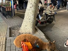 -巴公房子