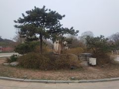 -南翠屏公园