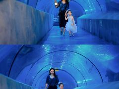 -太平洋海底世界