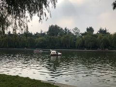 -莱西月湖公园