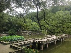 -忠山公园