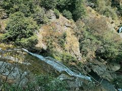 -东天目山风景区