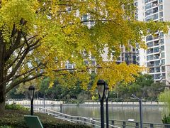 -苏州河梦清园环保主题公园