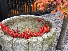 -鯛匠 HANANA