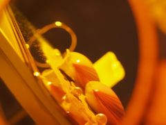 -奉贤东方美谷金汇敬老院·医护康复·日月星连锁(奉贤院)