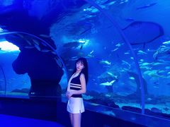 -多彩贵州城极地海洋世界