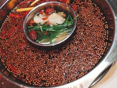 -枇杷园食为鲜火锅(南山店)