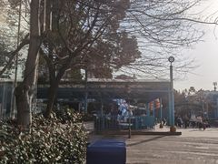 -海合安武汉极地海洋公园