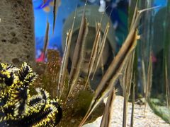 -太平洋海底世界