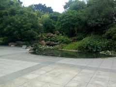 鱼池-晓港公园