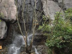 -天目湖山水园
