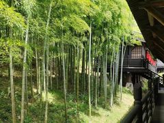 -大唐贡茶院