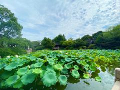 -杭州西子湖四季酒店-WL BISTRO西湖餐厅(灵隐路店)