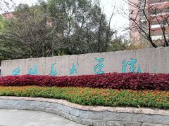 -黄桷坪涂鸦艺术街