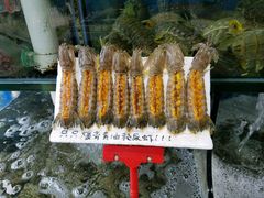 台山黄油濑尿虾-蚝专家(北滘店)