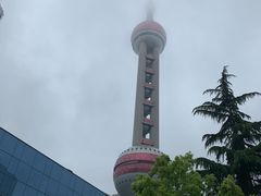 -上海大自然野生昆虫馆(东方明珠·爬宠昆虫探索中心)