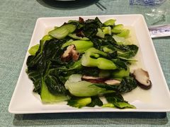 -西塘人家•黑金冠本地好店