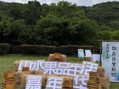 -龙寺生态园