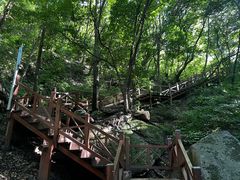 -大岭沟猕猴桃谷风景区