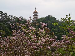 -白云山风景名胜区