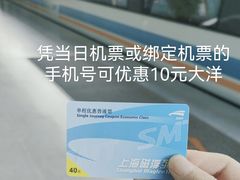 -龙阳路磁悬浮列车总站-停车场