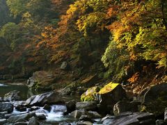 -光雾山旅游景区
