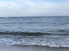 -小巴塞罗那海滩