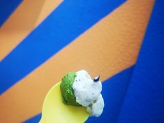 -夏食纪 SummerTime Gelato(九龙意库店)